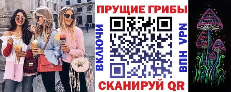 мега онион  Карабаново  Псилоцибиновые грибы Psilocybine cubensis 
