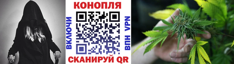 закладка  Карабаново  Каннабис SATIVA & INDICA 